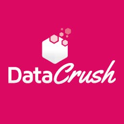 DataCrush Logo