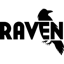 Raven Tools