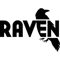 raven-tools logo