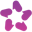 AskNicely logo