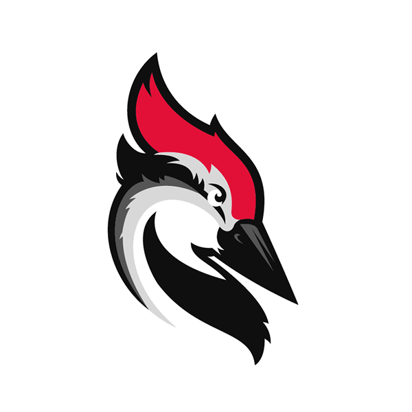 Woodpecker.co Logo