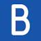 bluesnap logo