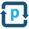 Process Plan logo