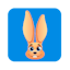 Jackrabbit Class