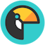 TutorBird