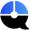 QuizTarget logo