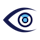 Integrate Attention Insight with Winston AI