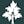 tly-link-shortener logo