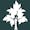 TLY Link Shortener logo