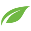 Thrive Themes
