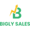 bigly-sales logo
