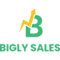 bigly-sales logo