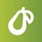 prepear logo