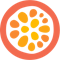 disciple logo