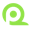 QPoint Survey logo