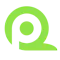 qpoint-survey logo