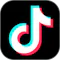 tiktok-lead-generation logo