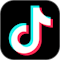 TikTok Conversions logo