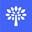 Canopy Connect logo