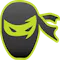 mold-ninja logo