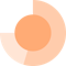 raytio logo
