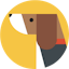 UXsniff