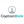 CaptainBook.io logo
