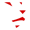 LionO360 logo