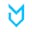 MeetFox logo