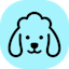 Poodle