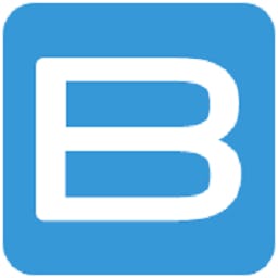 BIGContacts Logo