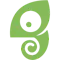 Chameleon logo