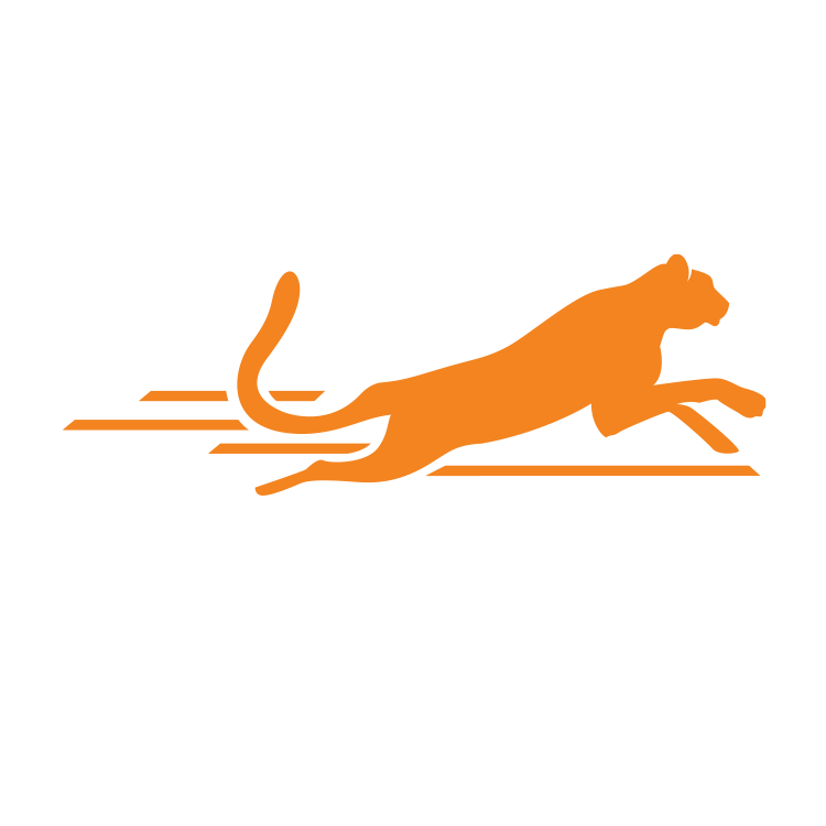 Post Cheetah