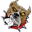 PitBullTax Software