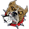 pitbulltax logo