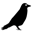 Crowlingo logo