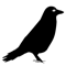 Crowlingo logo