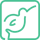 kiwilaunch logo