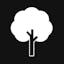 Camphor