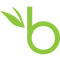 bamboohr logo