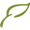 WeForest logo