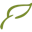 WeForest logo