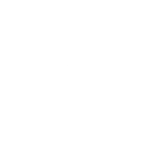 Planview AgilePlace Logo
