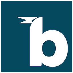 Birdie Logo