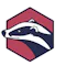 badgr logo