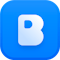 birdie-screen-recording logo