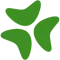 bloomerang logo