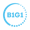 b1g1 logo