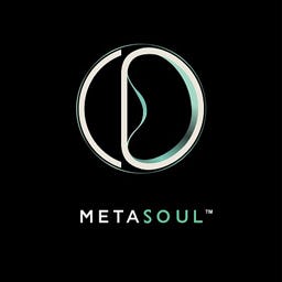 MetaSoul Logo